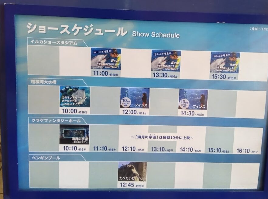 えのすいイルカショースケジュール